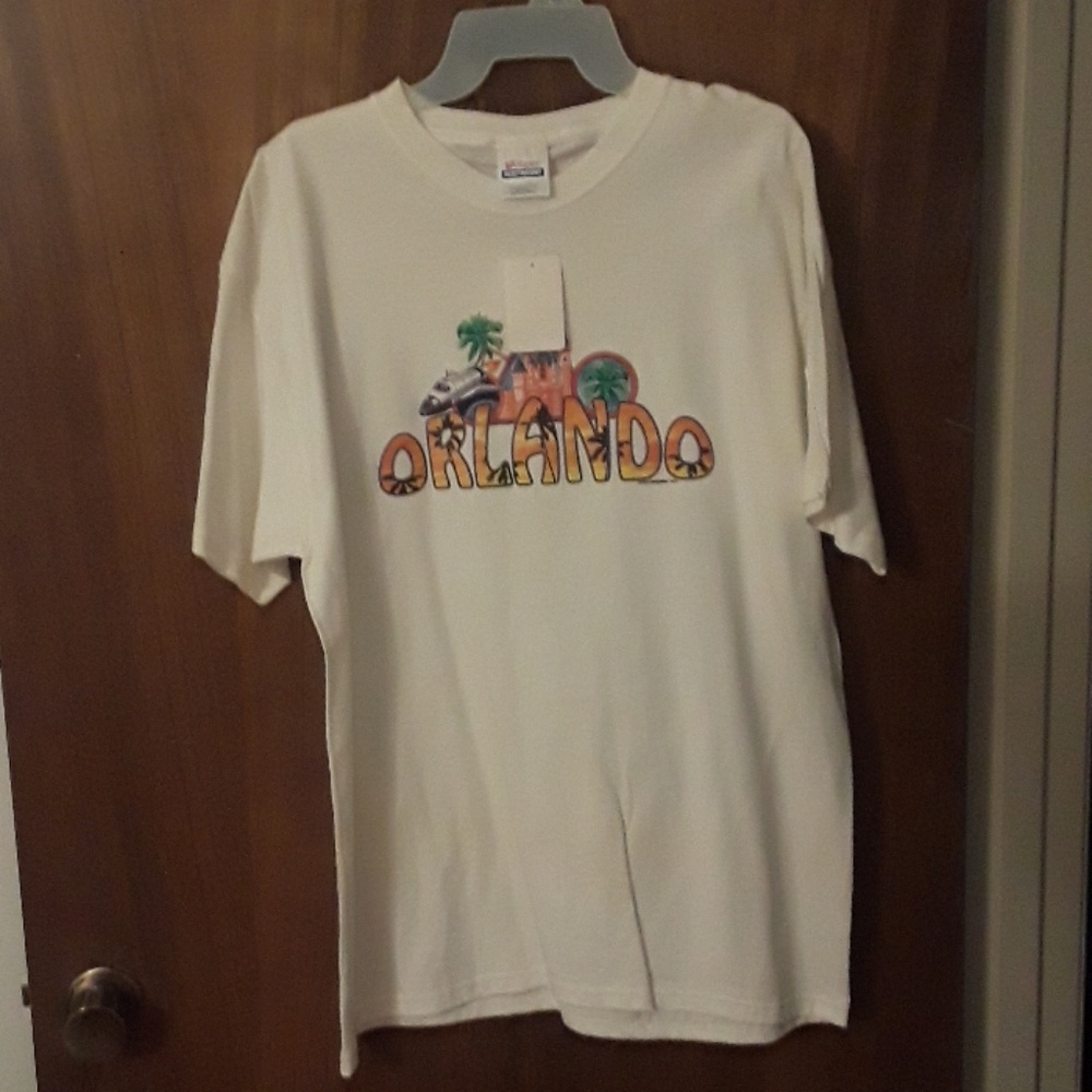 Hanes Heavyweight large t-shirt of Orlando Disney